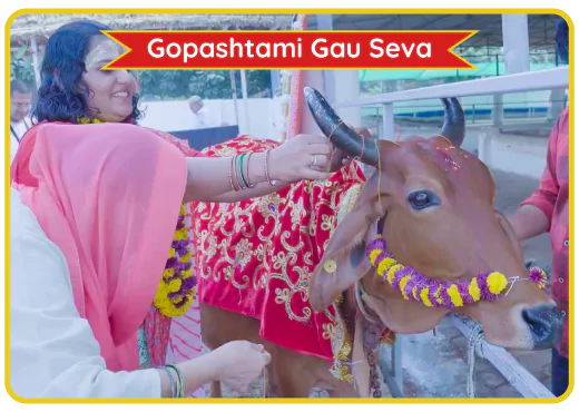 Serve Gau Mata on the occasion of Gopashtami