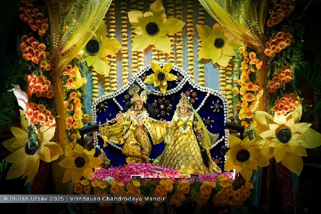 Glimpses of Jhulan Utsav 2025