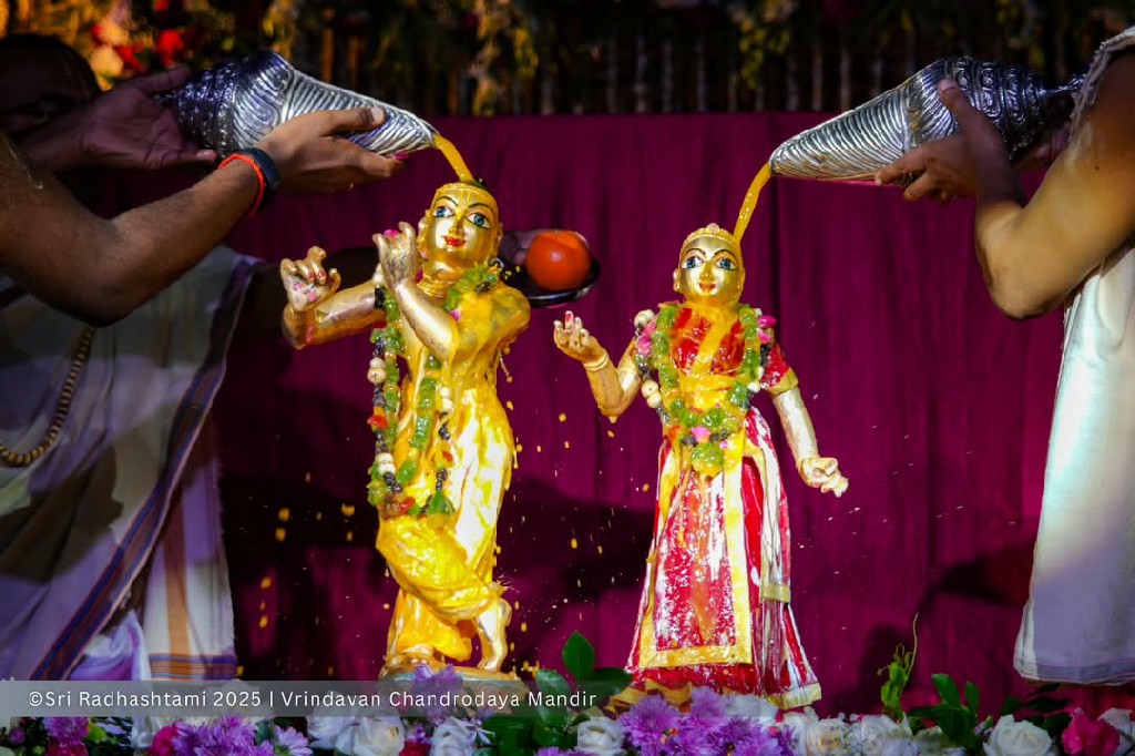 Glimpses of Sri Radhashtami festival celebrations today at Vrindavan Chandrodaya Mandir.