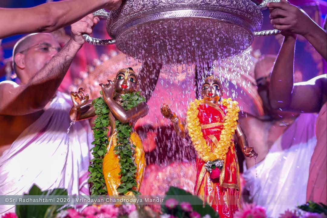 Radhastami Celebrations at Vrindavan Chandrodaya Mandir